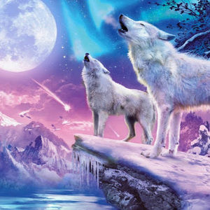 Meet your Posher, Hailey